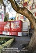 https://int-raetischesmuseum.gr.ch/de/besuch/shop/FotosPublikationen/JB_2024.jpg